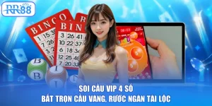 Soi Cầu Vip 4 Số - Bắt Trọn Cầu Vàng, Rước Ngàn Tài Lộc